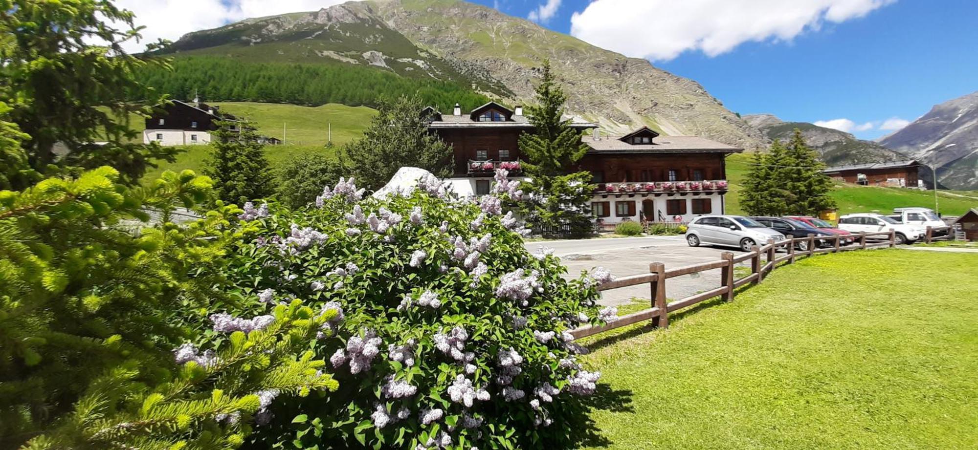 Chalet Del Sole Per Gruppi Aparthotel ลีวินโญ ภายนอก รูปภาพ